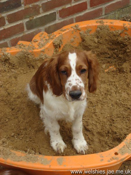 2009-06 02L.JPG
